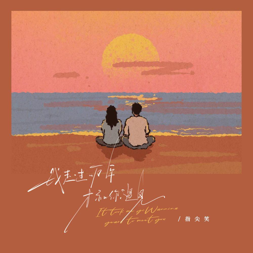 我走过一万年才和你遇见（DJ版）封面