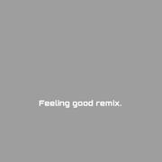 Feeling Good（zozoo remix） 伴奏