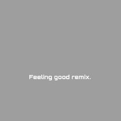 Feeling Good（zozoo remix） 伴奏