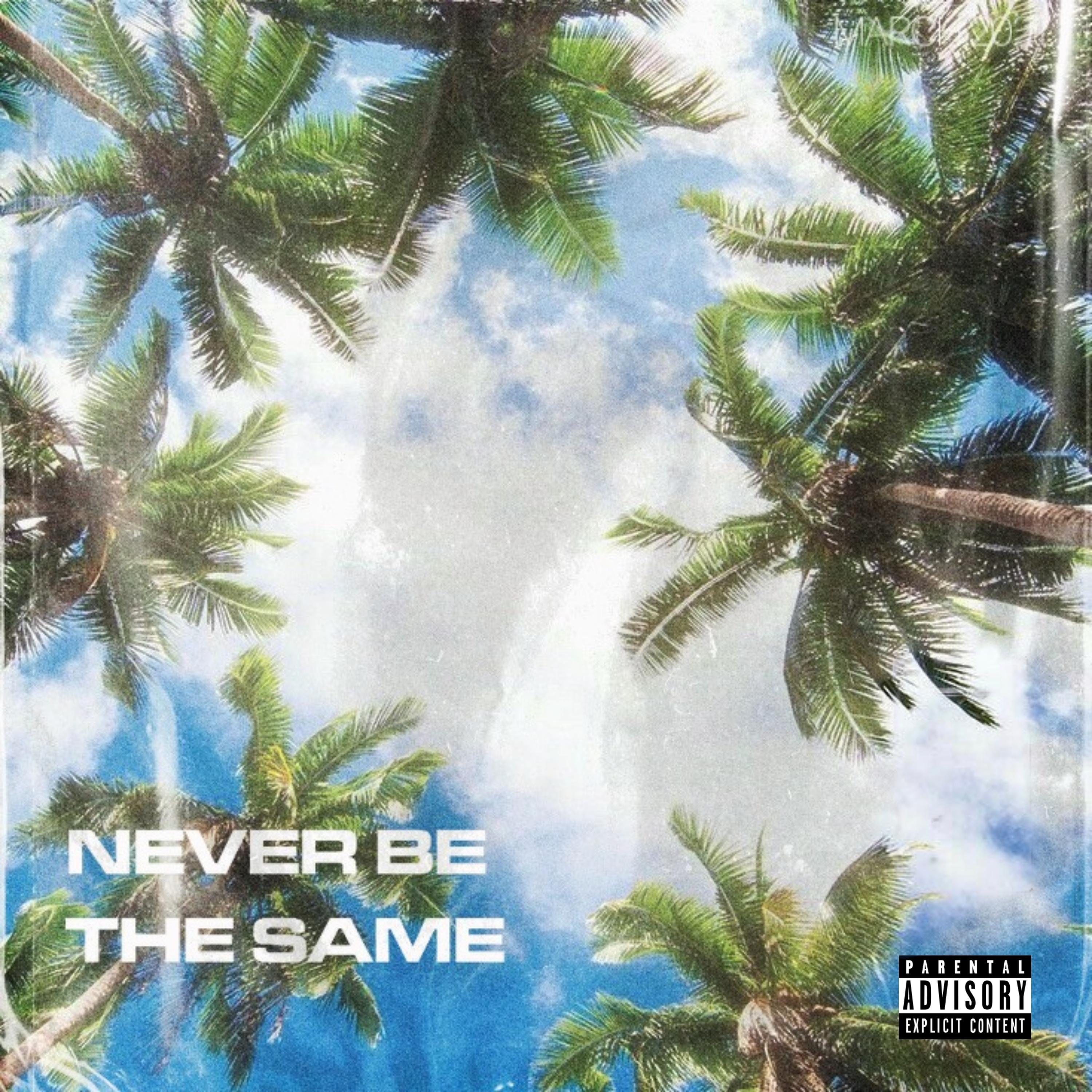 Never Be The Same (feat. FeezMuzik)