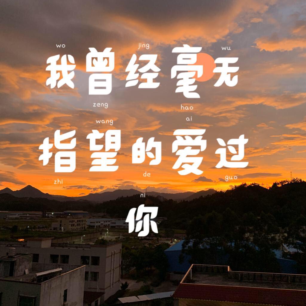 我曾经毫无指望的爱过你