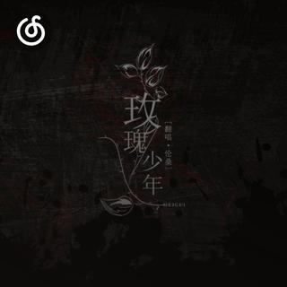 高亢激昂精选|从《玫瑰少年》听起