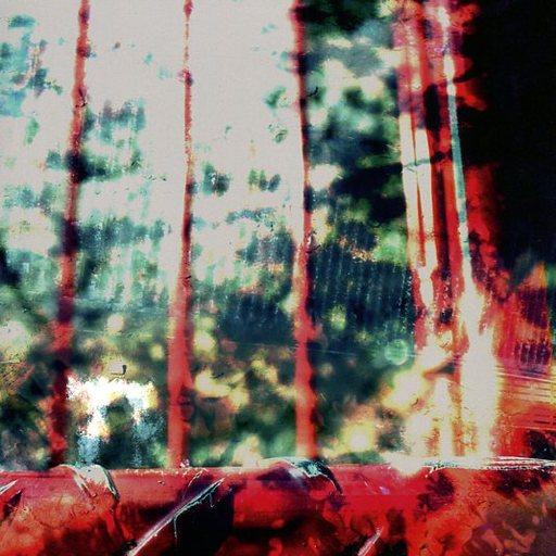 n.
