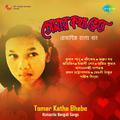 Tomar Katha Bhebe Romantic Bengali Songs