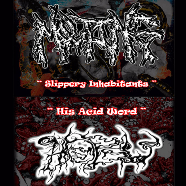 Slippery Inhabitants / His Acid Word