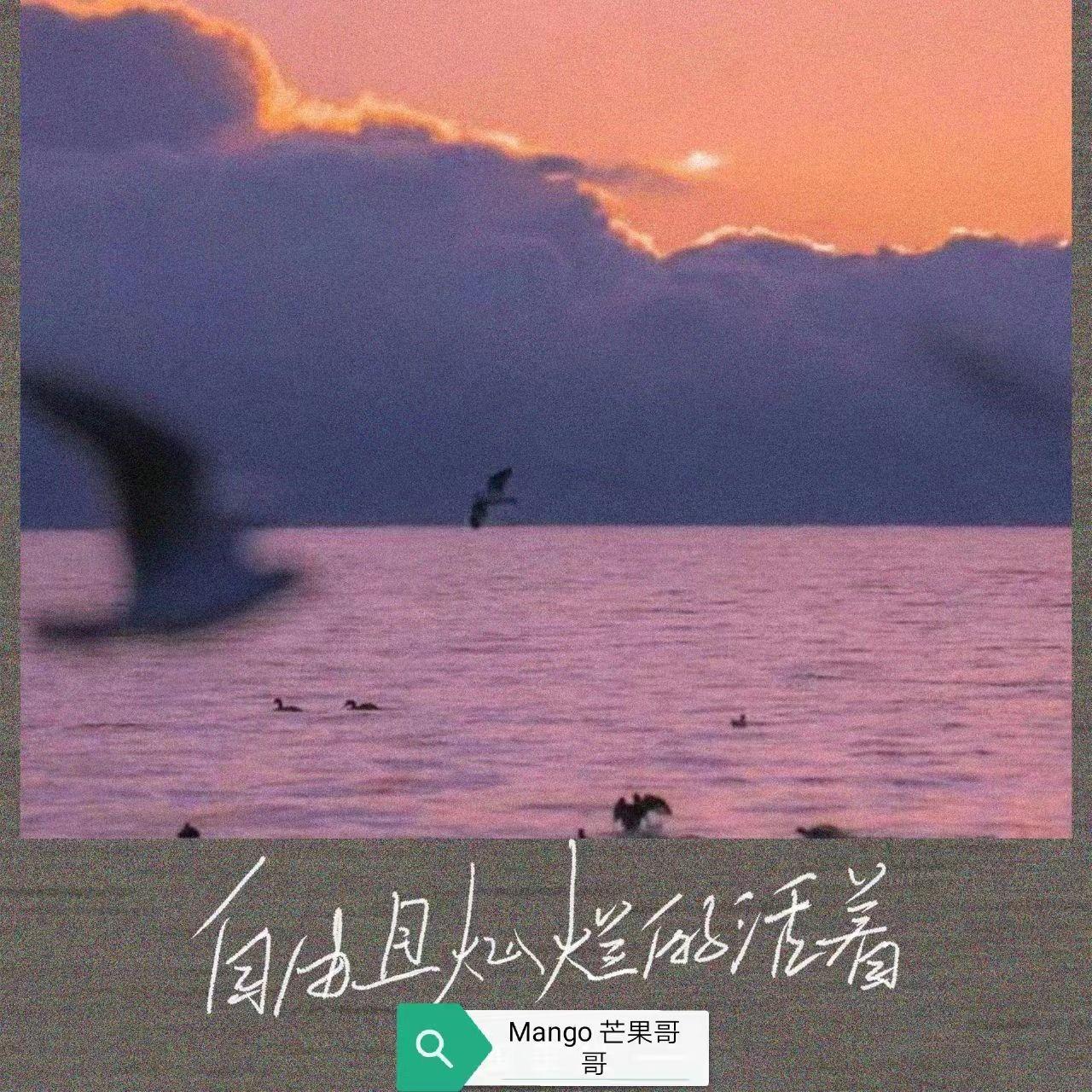 自由且灿烂的活着
