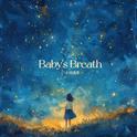 Baby's Breath专辑