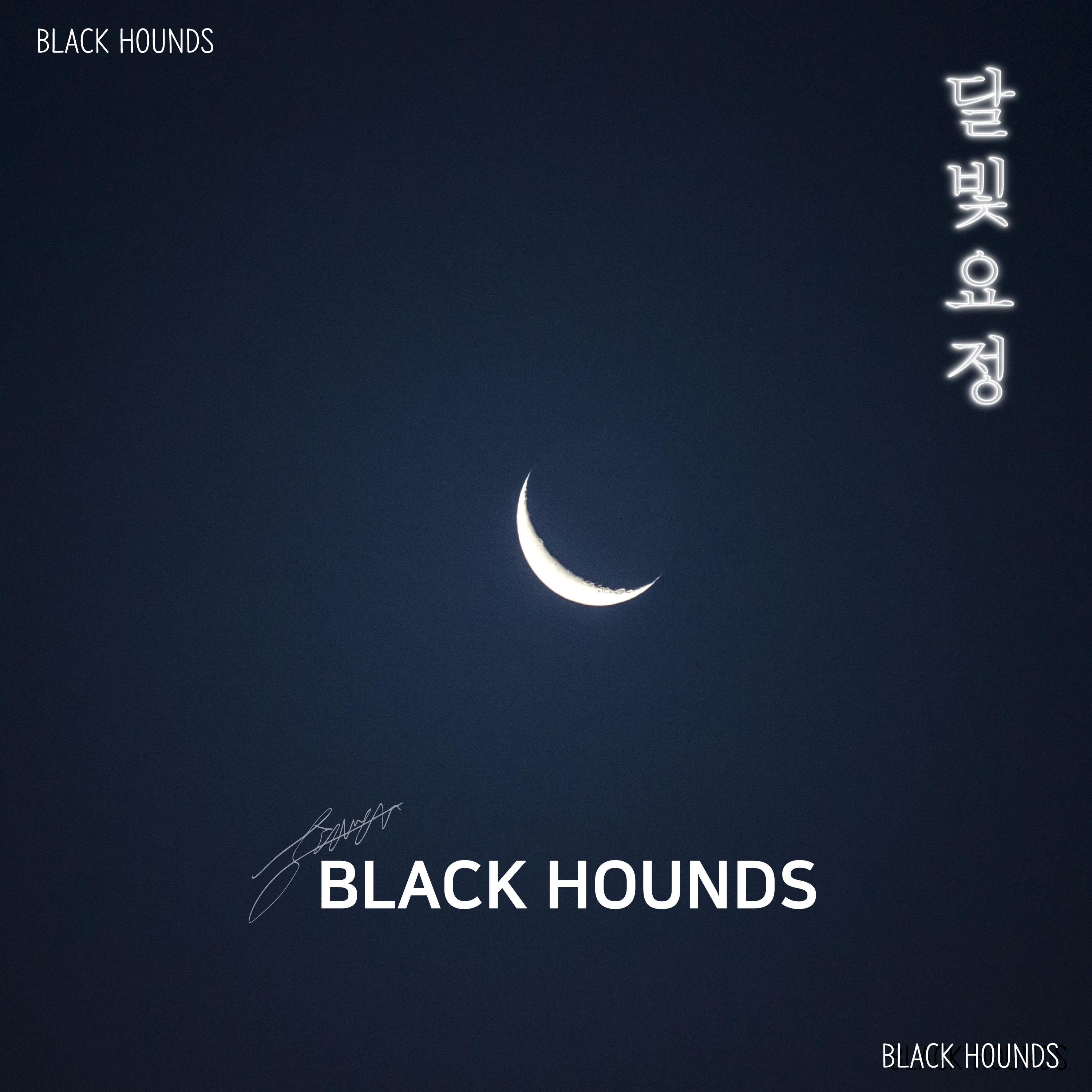 달빛요정