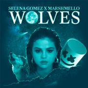 Various Artists-Wolves (sUNa‘s bootleg)（沙包P Remix）