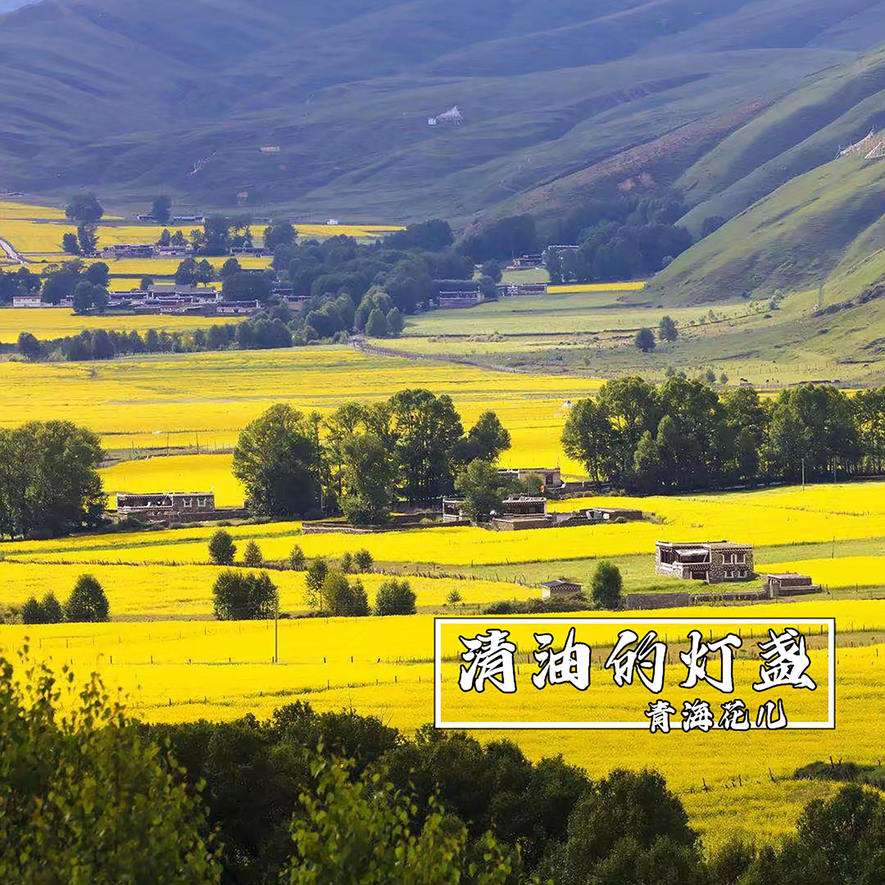 清油的灯盏