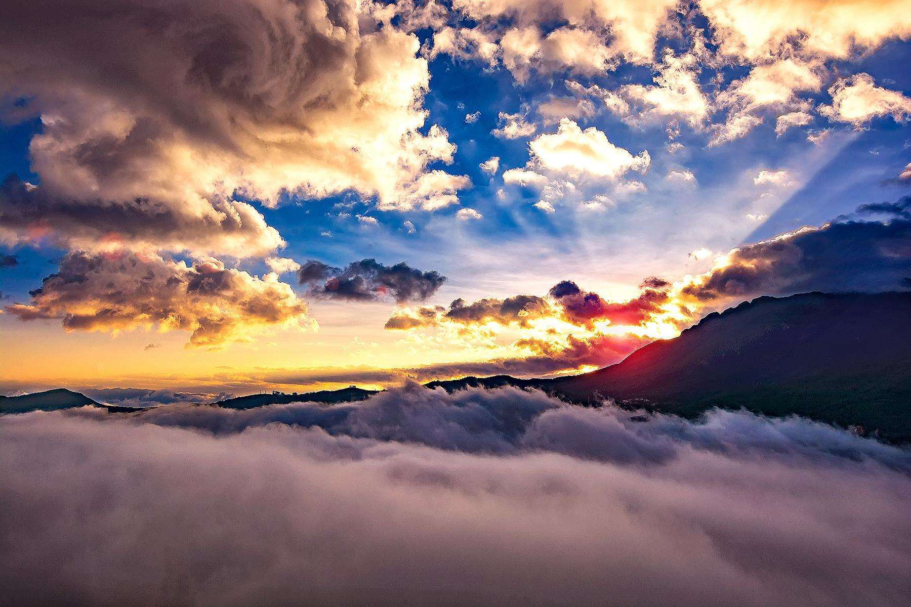 网易云音乐多端下载