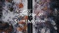 Falling in Slow Motion专辑