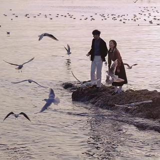 最佳位置 | 我目光所及之处皆是你