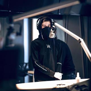 Alan Walker 前五十热门单曲
