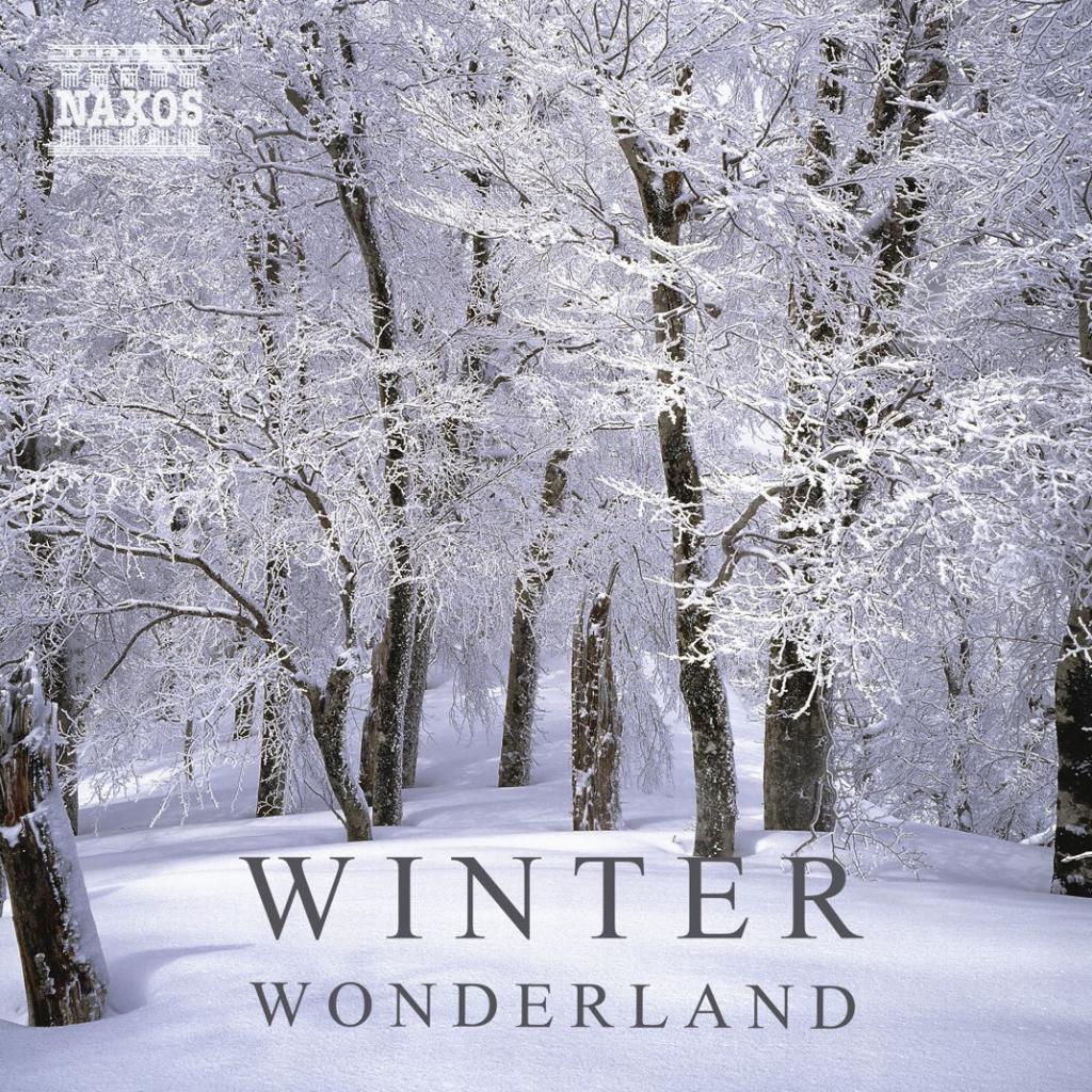 冬之仙境 | 盼雪花，盼雪花
