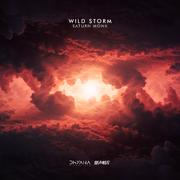 Wild Storm