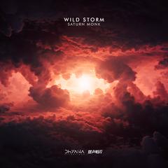 Wild Storm(Extend Mix)