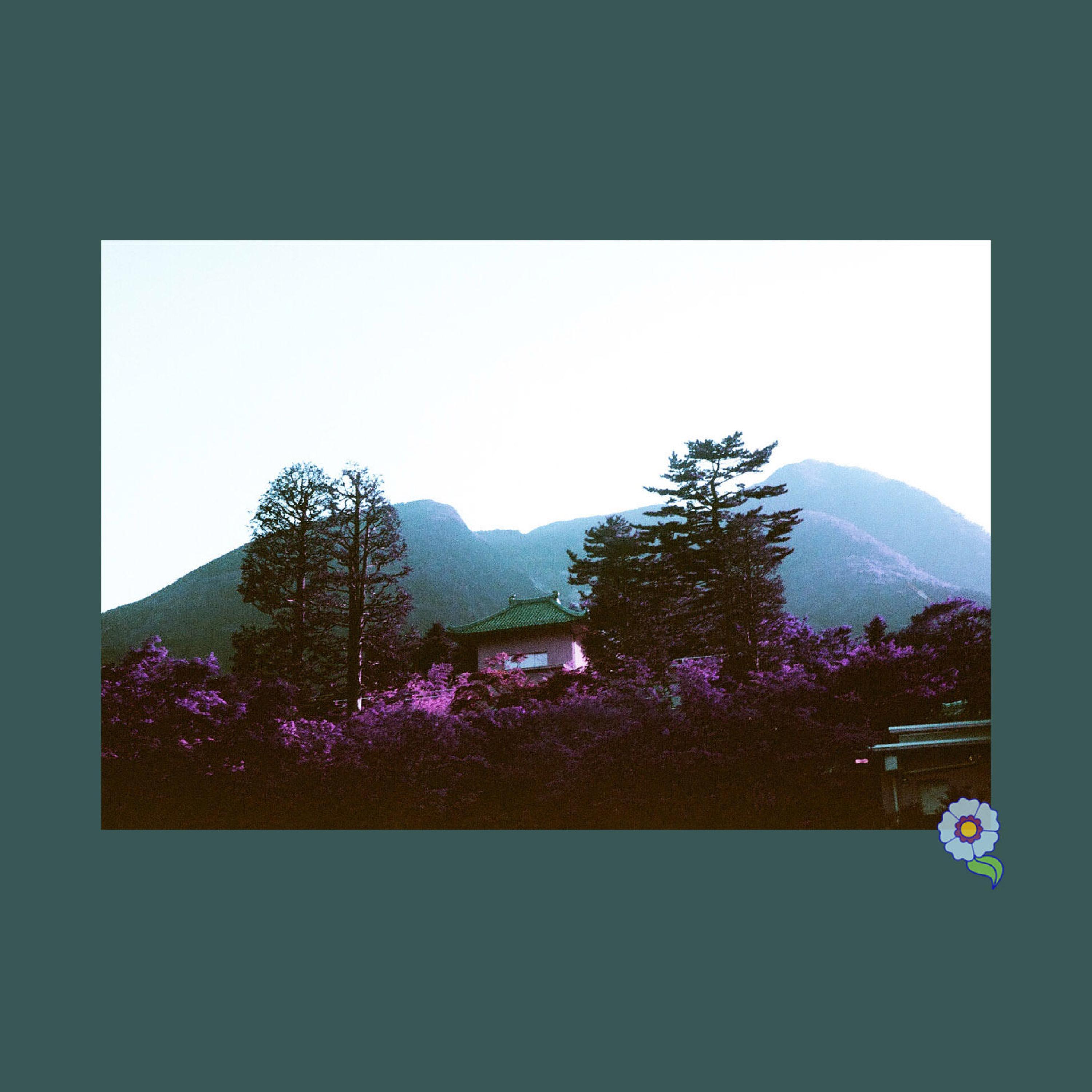Butterfly (feat. Don Glori)