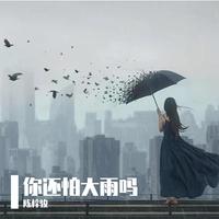 周柏豪-你还怕大雨吗