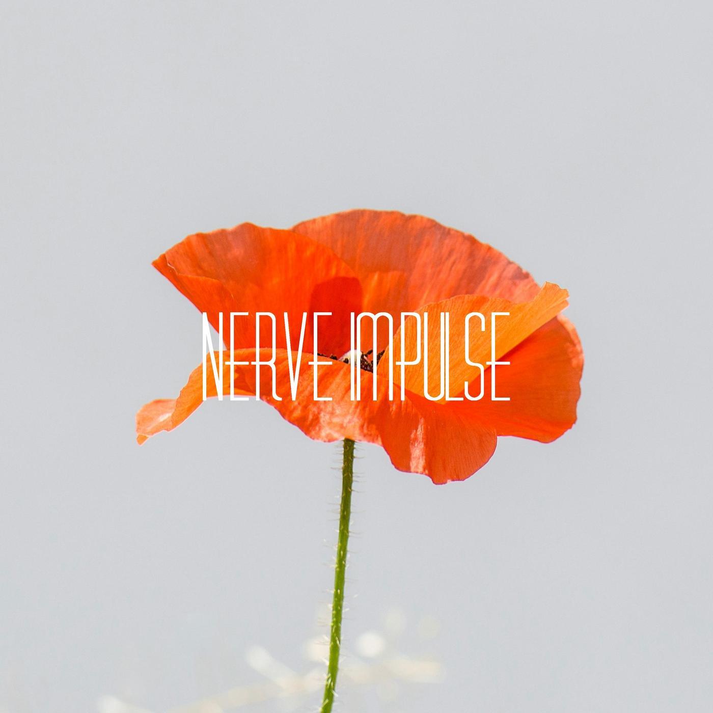 Nerve Impulse