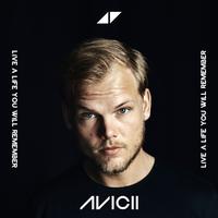 The Nights - Avicii (unofficial Instrumental)