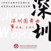 王丽达 - 深圳圆舞曲(原版立体声伴奏)