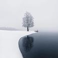 Ideality