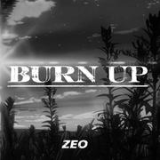 BURN UP