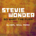 So What The Fuss-Global Soul Remix专辑