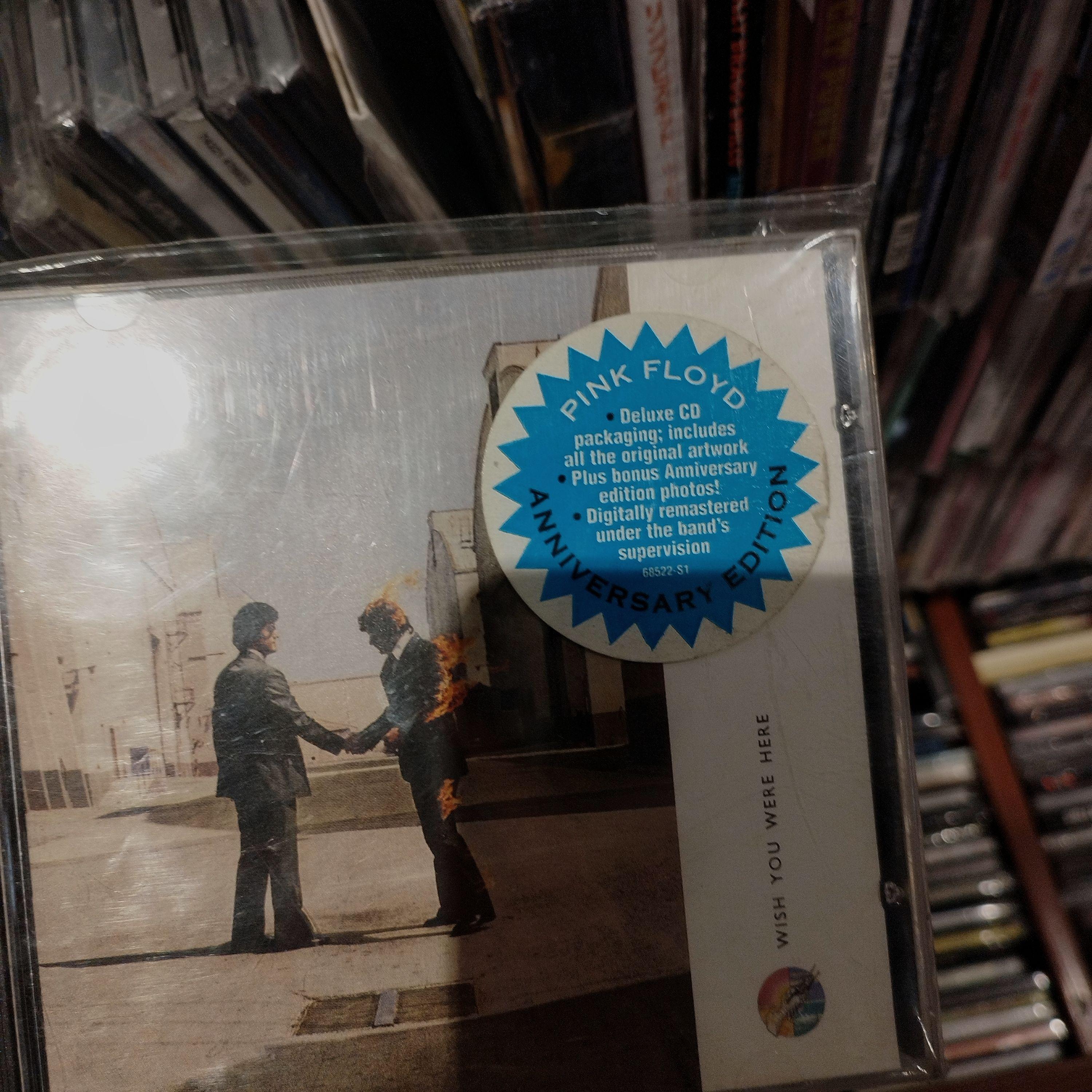 谁也不是[Cover.九维]