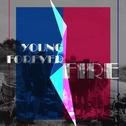 ◤SdM◢ 〓 Young Forever & Fire专辑