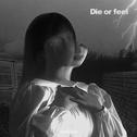 Die or feel专辑