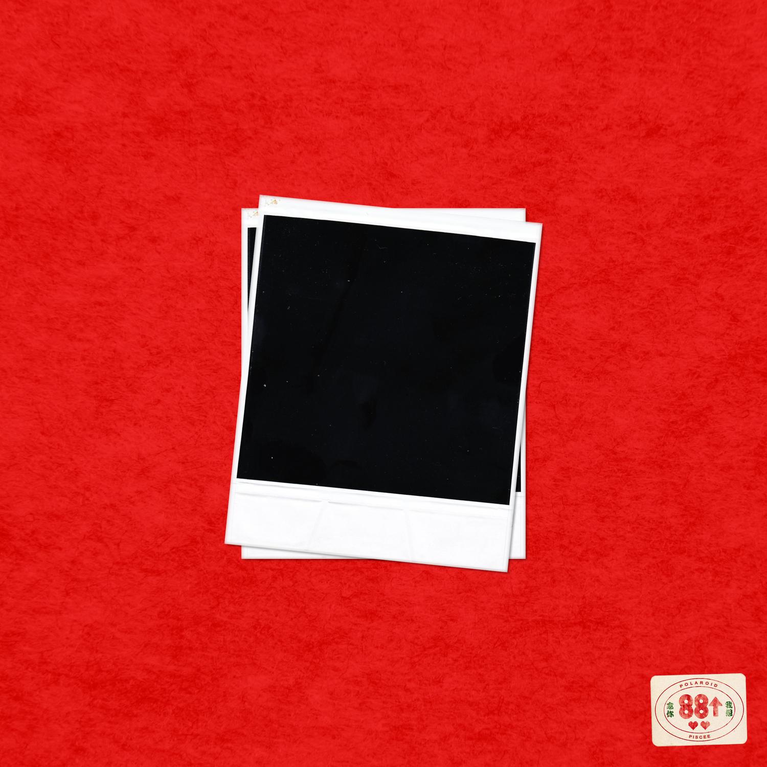 polaroid专辑