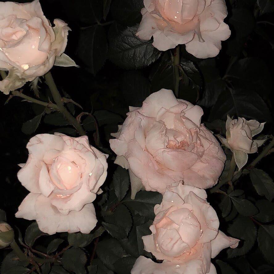 无题（姜云升）（翻自 姜云升）