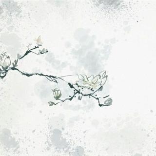 朴树