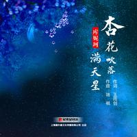 库妮珂-杏花吹落满天星 伴奏 精品制作纯伴奏