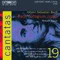 BACH, J.S.: Cantatas, Vol. 19 (Suzuki) - BWV 37, 86, 104, 166