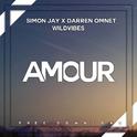 Amour (Vocal Edit)专辑