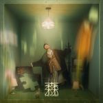 森林专辑