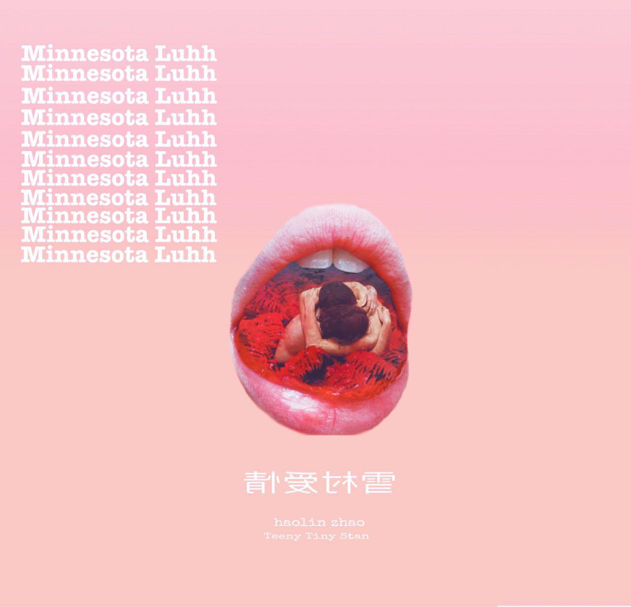 Minnesota Luhh (Pagoda Boi ft. Teeny Tiny Stan)专辑