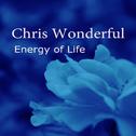 Energy of Life专辑
