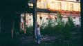 Under The Willows专辑