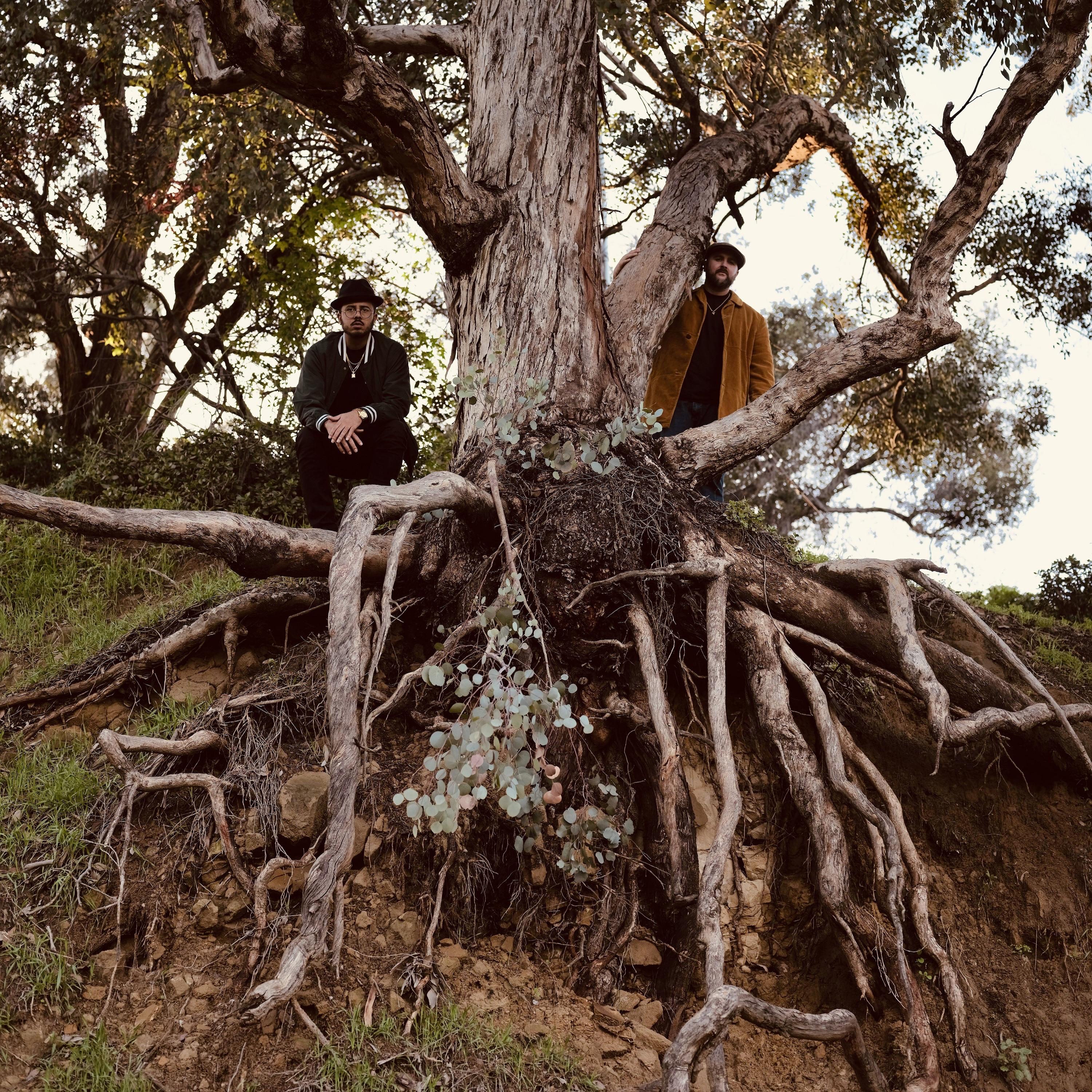 Roots Of Blue (Single Edit)