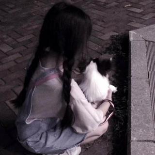 樱花树下的像极了曾经的我和你 [优质女声]