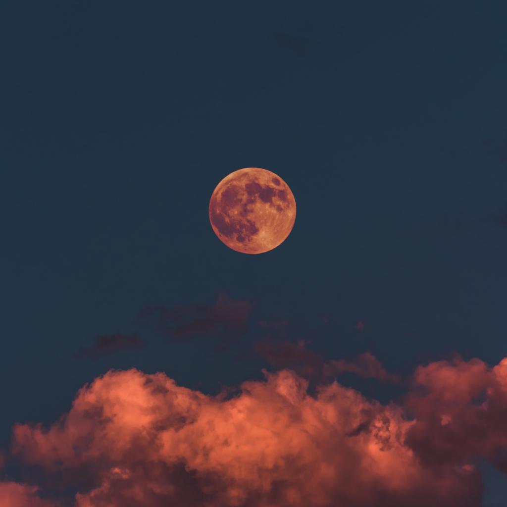 古典乐|夜之乐章