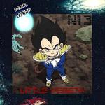 LITTLE VEGETA(Prod.fury)专辑