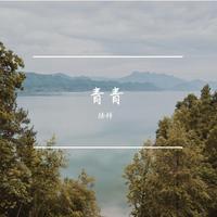 刘青青 - 流过身边的小溪