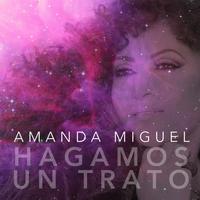 Amanda Miguel - Hagamos Un Trato (karaoke) (2)