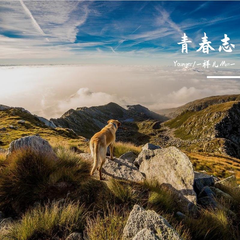 青春志