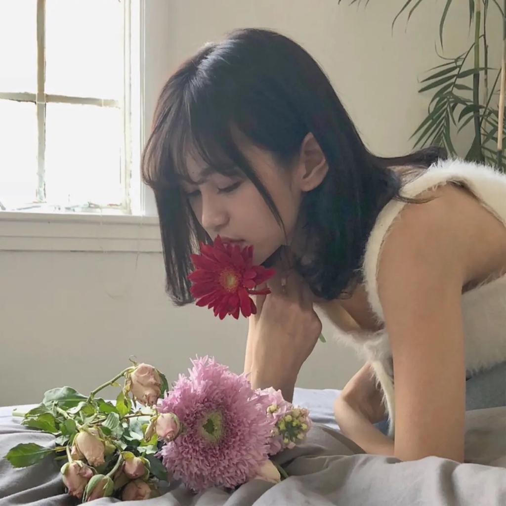 SNH48张昕 vlog歌单